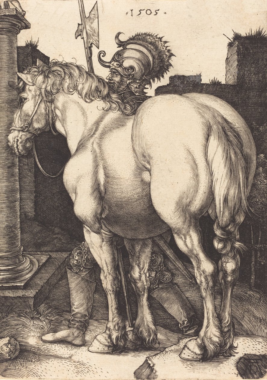 Caballo grande, 1505 de Albrecht Dürer