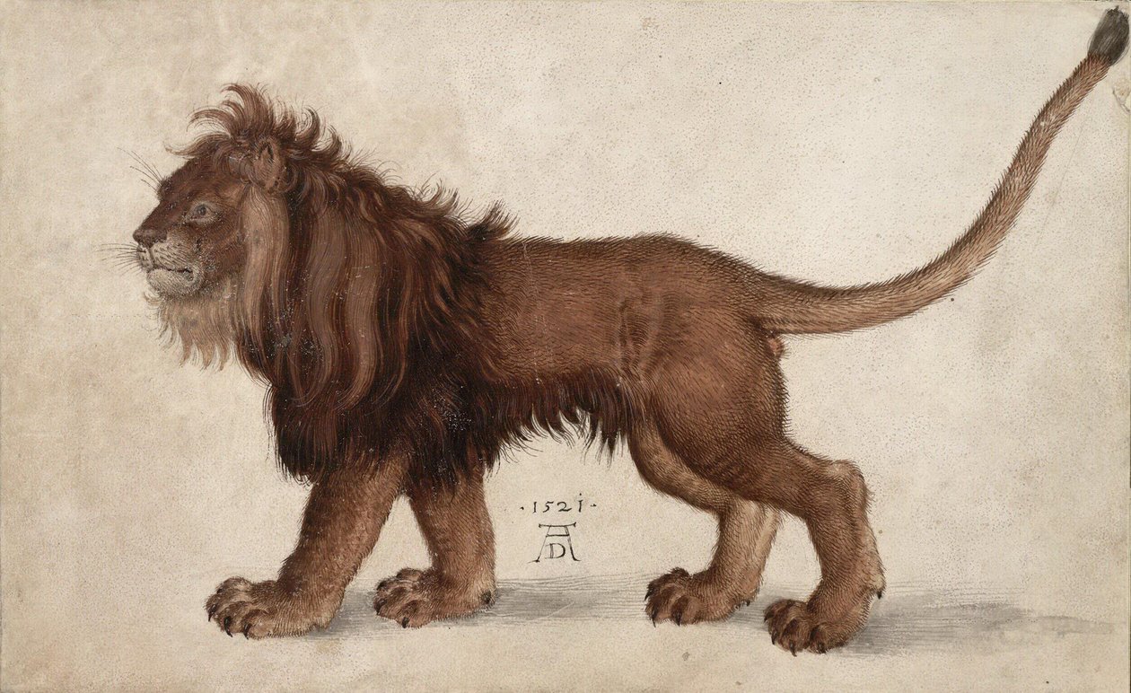León de Albrecht Dürer