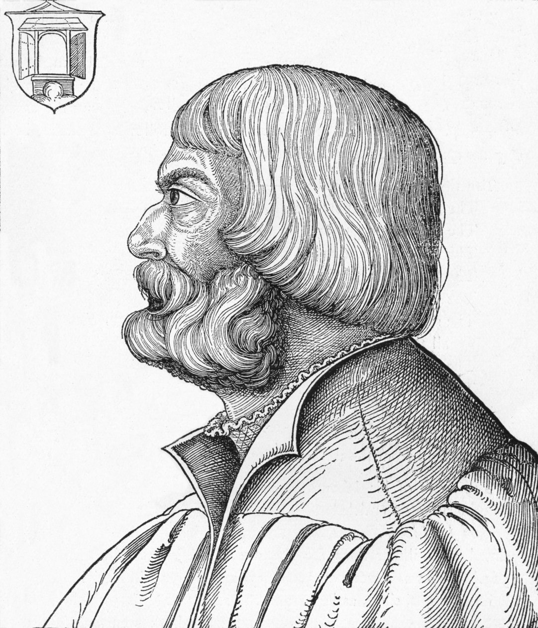 Retrato de Albrecht Durer, 1527 de Albrecht Dürer