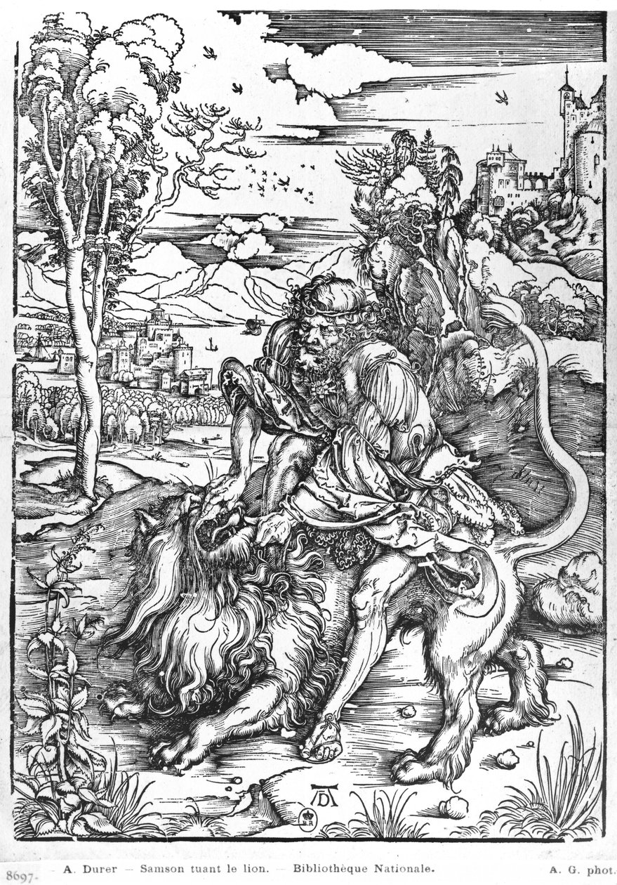Sansón matando al león, c.1496-98 de Albrecht Dürer