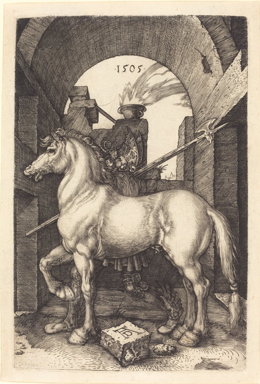 Caballo pequeño de Albrecht Dürer