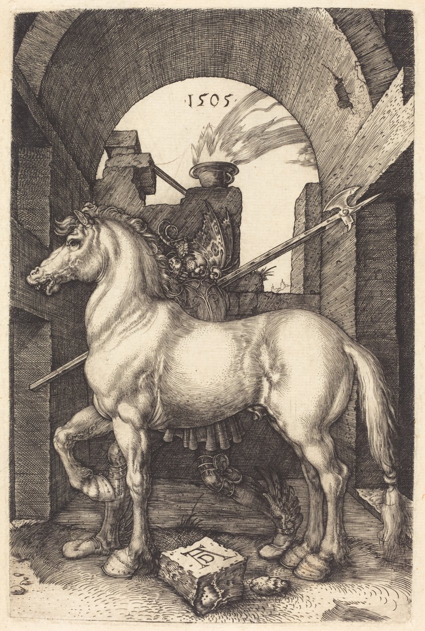 Caballo pequeño, 1505 de Albrecht Dürer