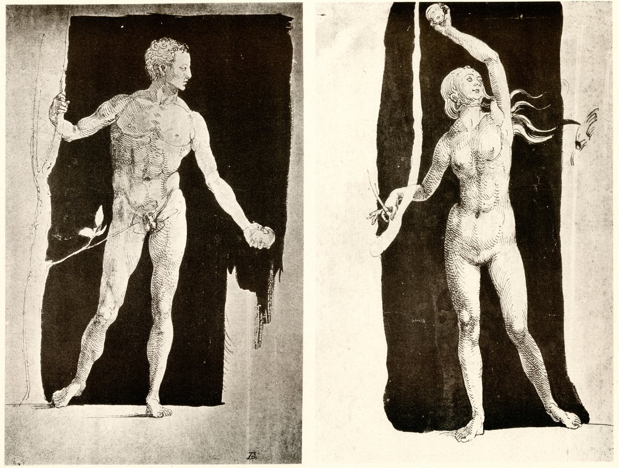 Estudios de Adán y Eva de Albrecht Dürer