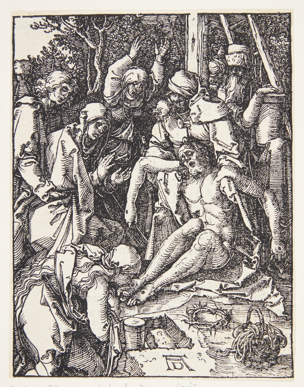 El lamento de Albrecht Dürer