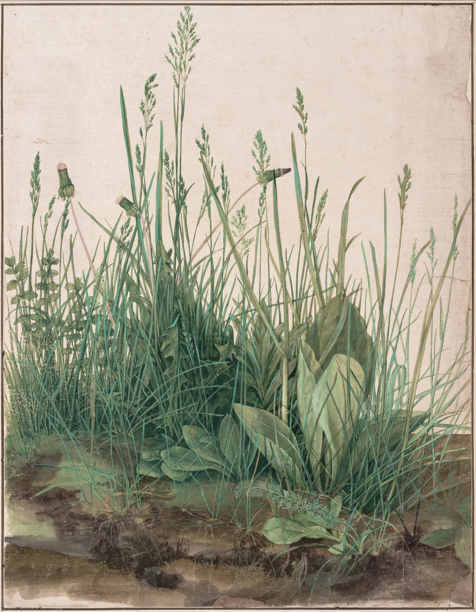El gran trozo de césped de Albrecht Dürer