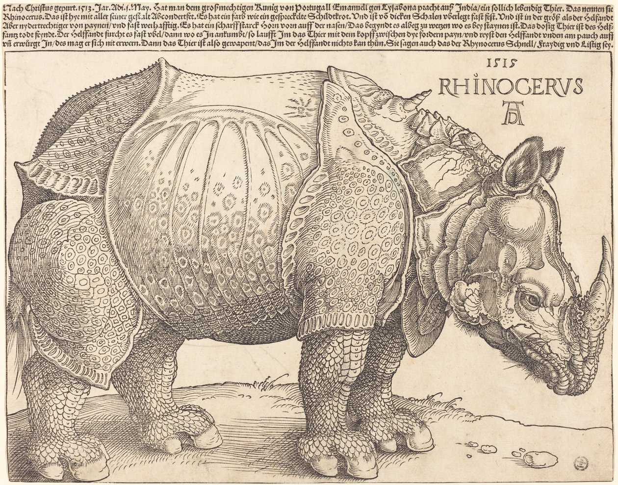 El rinoceronte, 1515 de Albrecht Dürer
