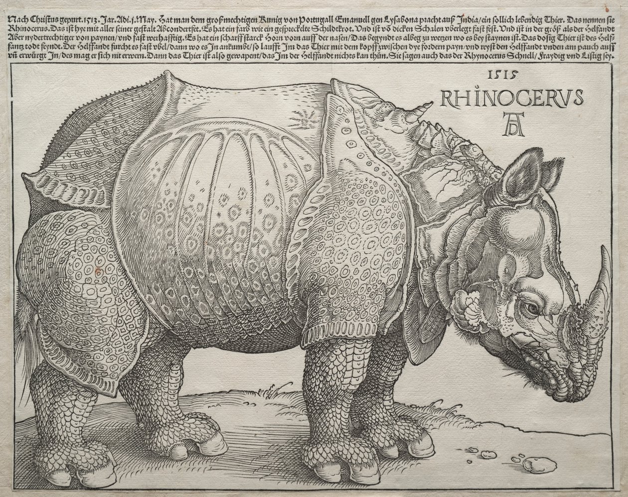 El Rinoceronte, 1515 de Albrecht Dürer