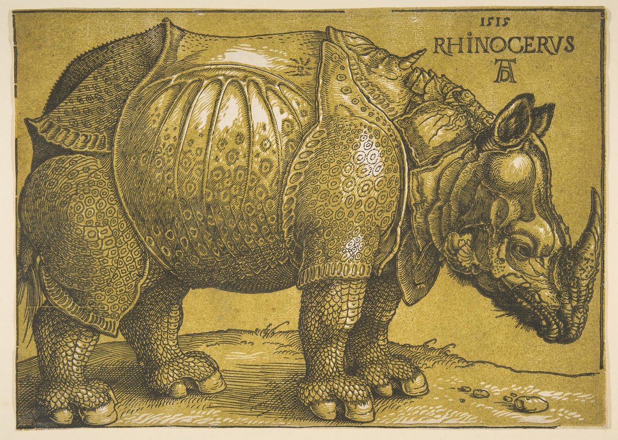 El Rinoceronte de Albrecht Dürer