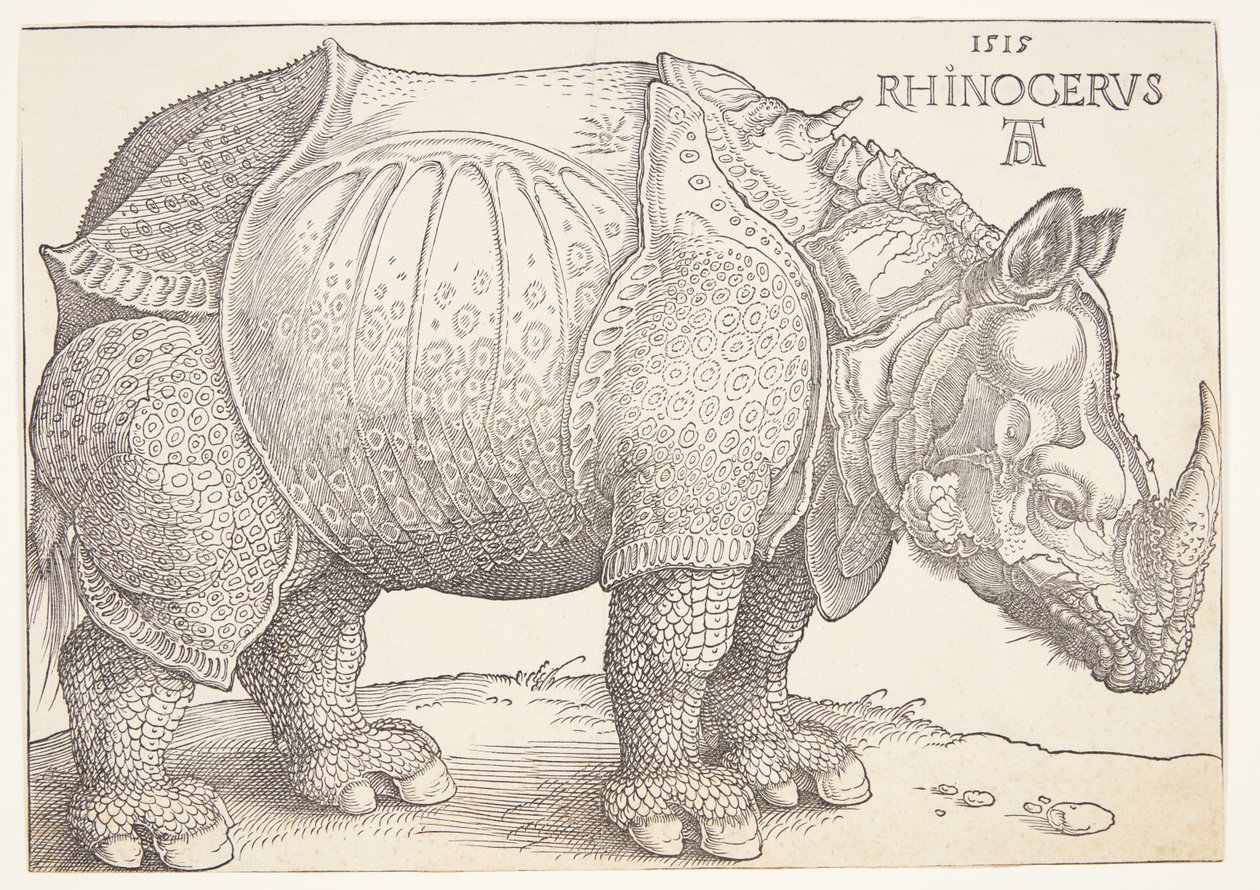 El rinoceronte de Albrecht Dürer