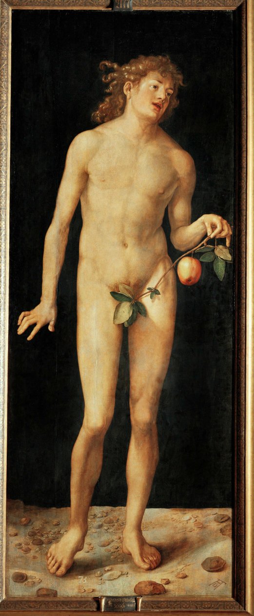 Adam de Albrecht Dürer or Duerer