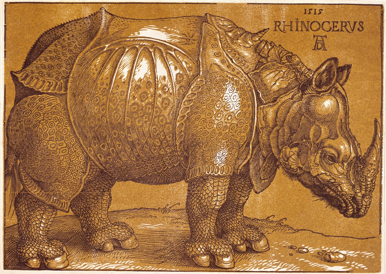 El Rinoceronte de Albrecht Dürer or Duerer