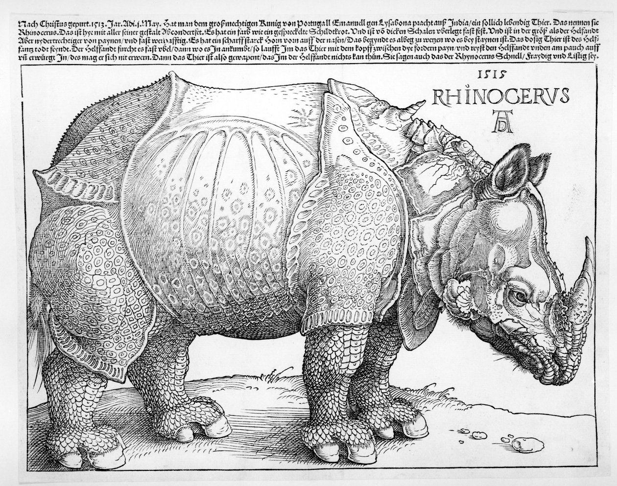 El rinoceronte de Albrecht Dürer