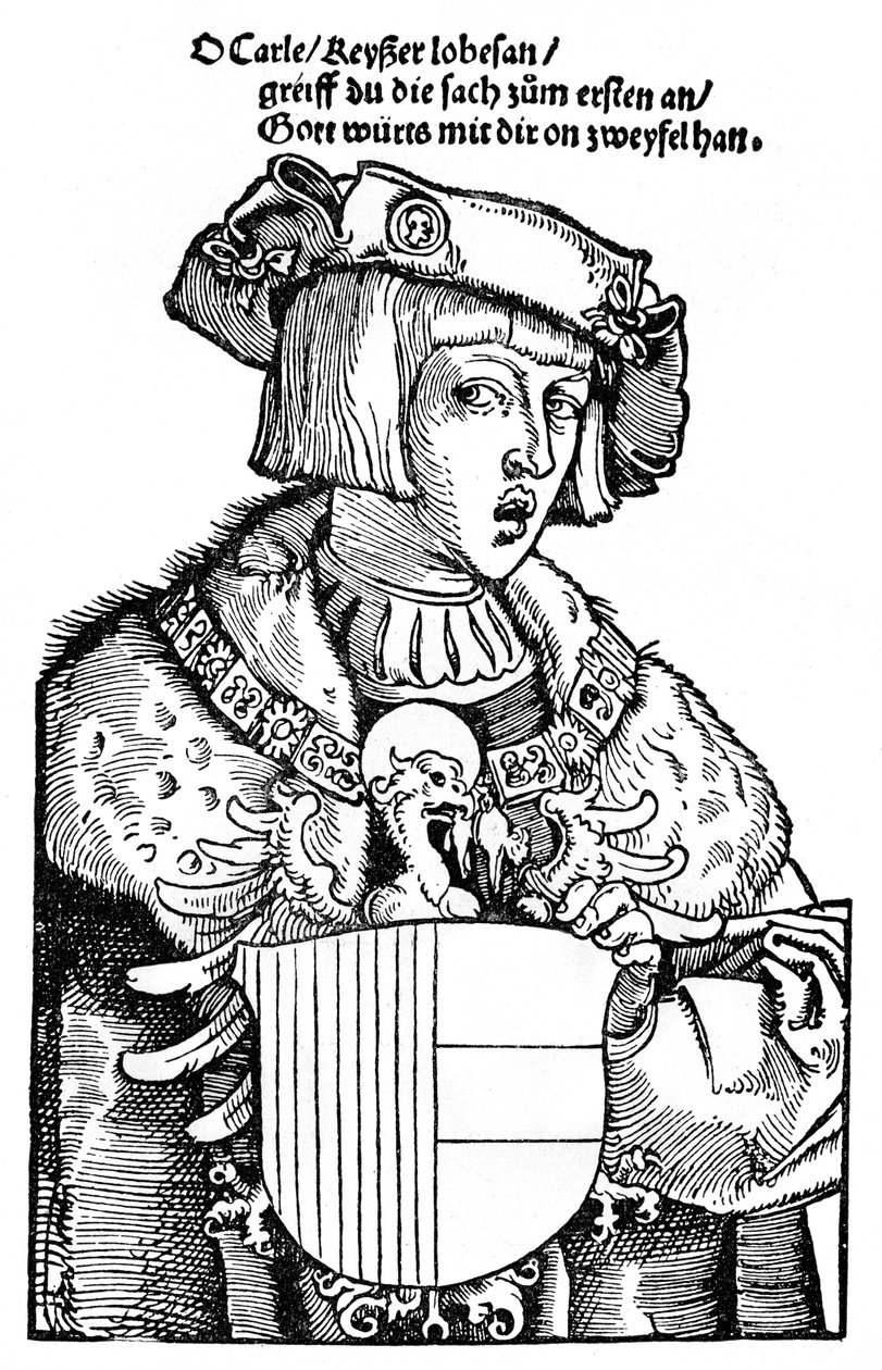 Joven Carlos V de Albrecht Dürer