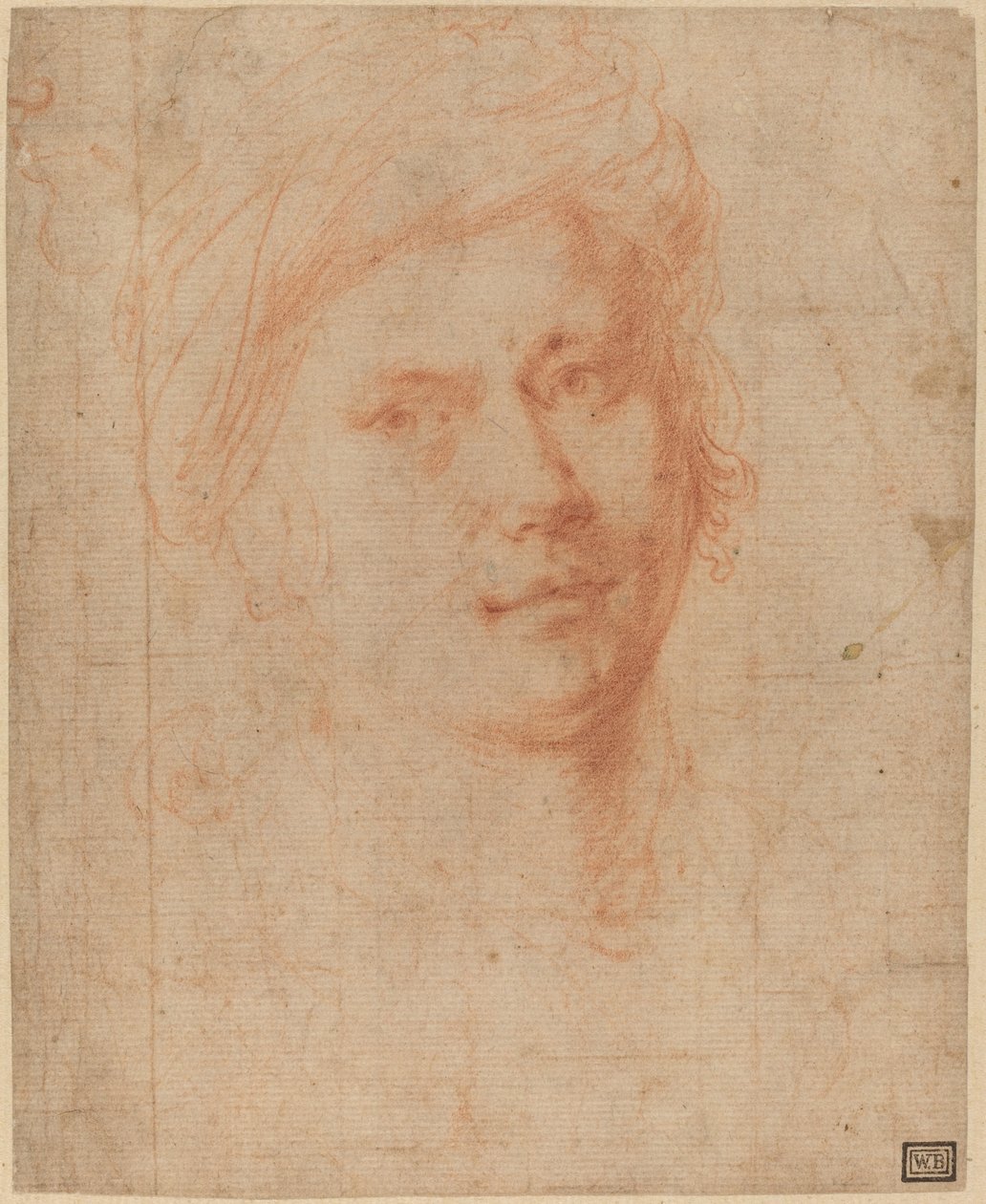 Cabeza de un joven de Alessandro Allori
