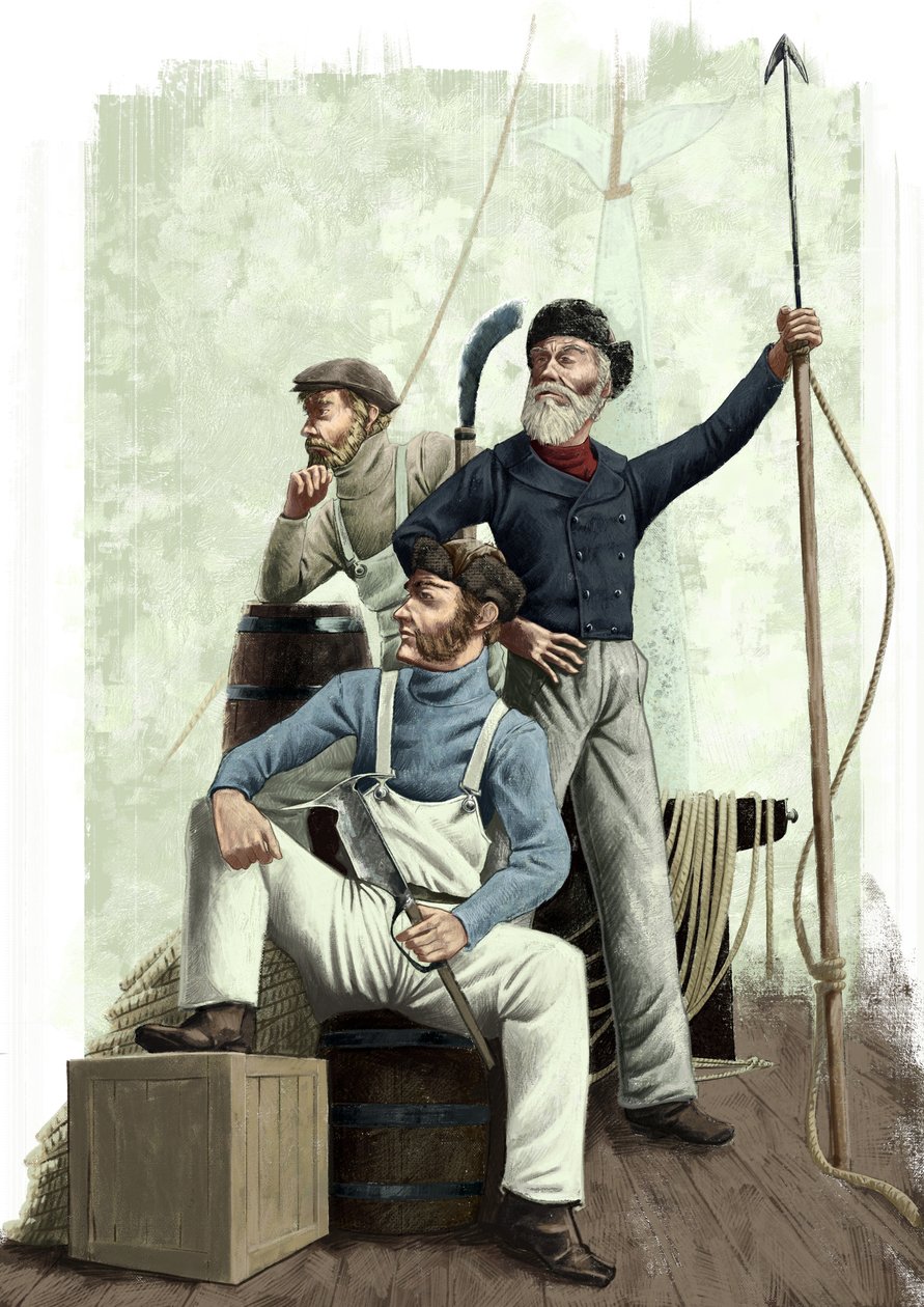 Tres ballenas de Alessandro Lonati