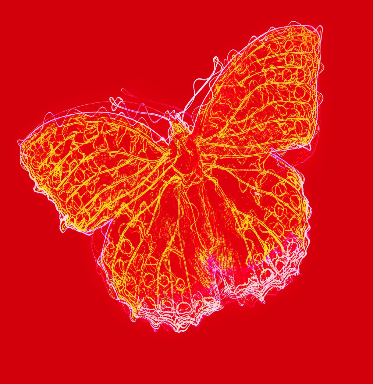 Mariposa III, 2020 de Alex Caminker