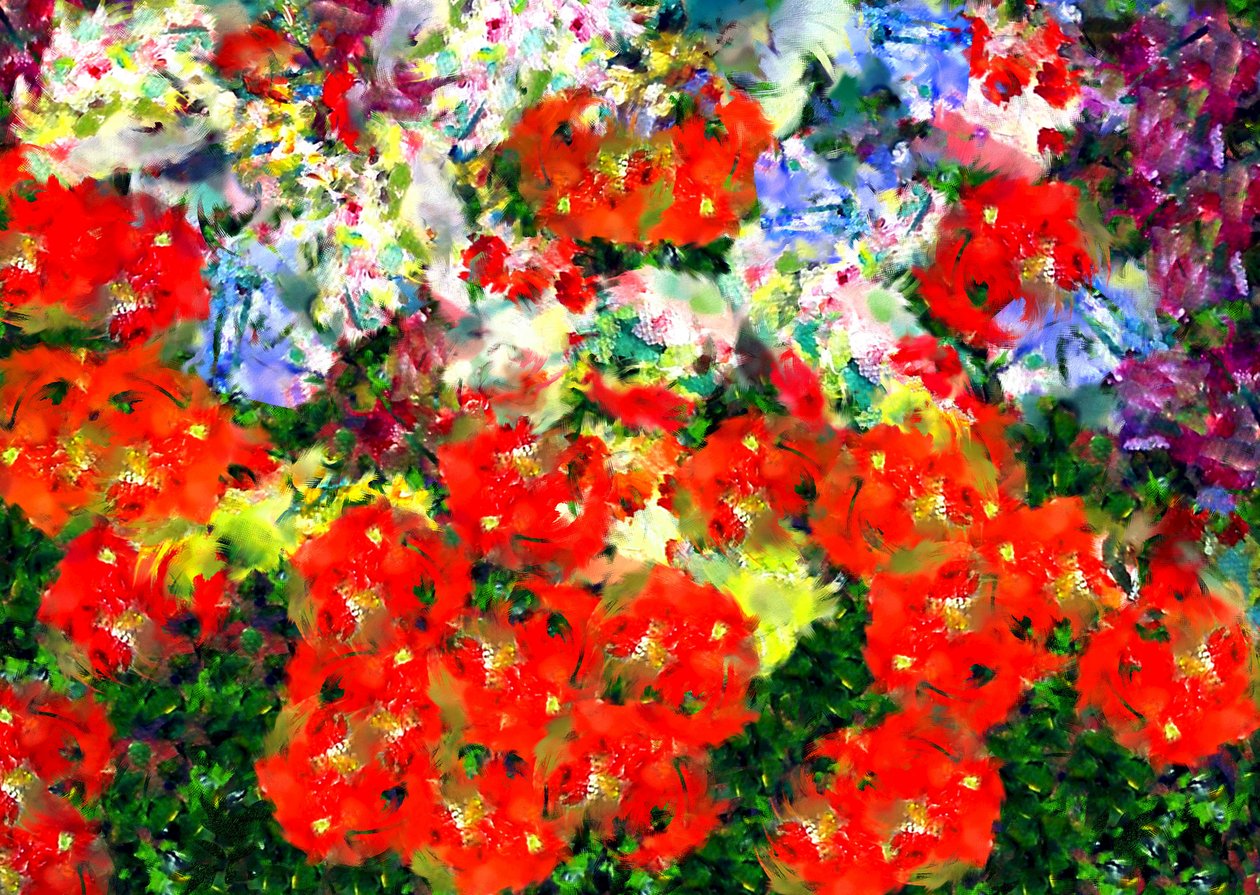 Amapola de Alex Caminker