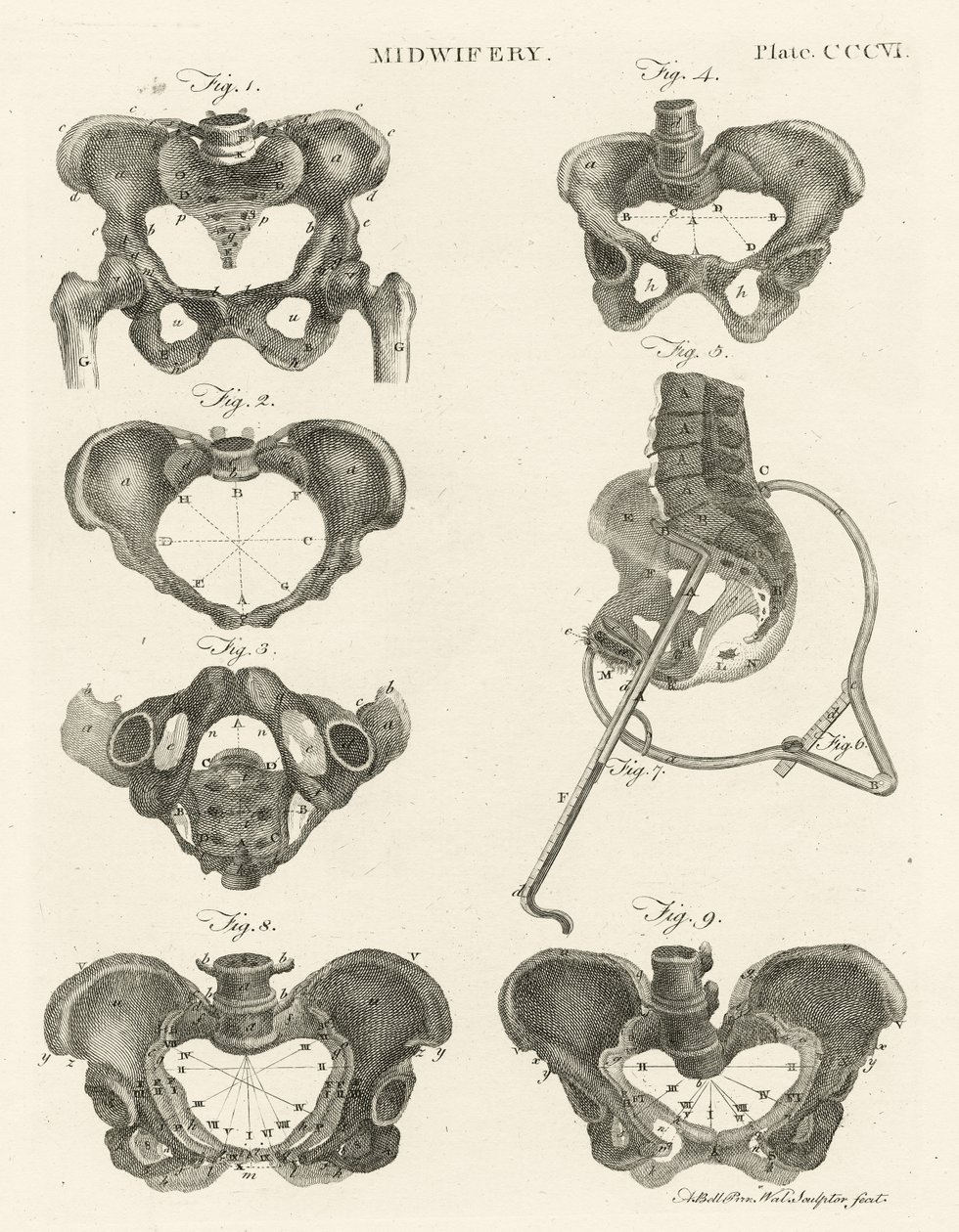 Obstetricia, ilustración de 