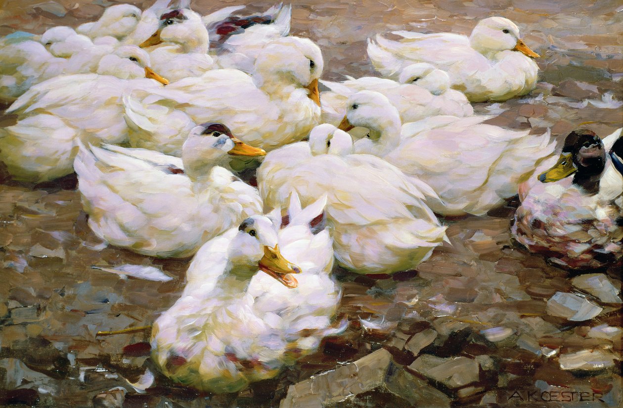 Patos en un estanque de Alexander Koester