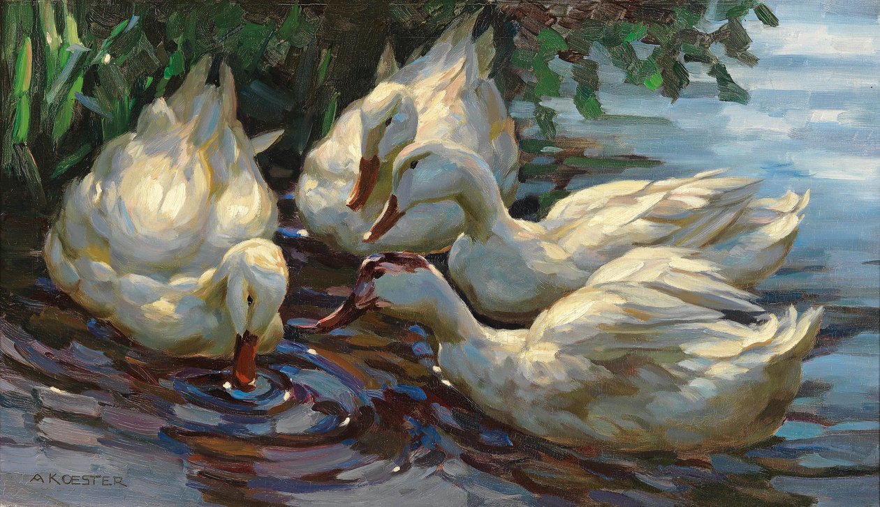 Cuatro patos en el estanque de Alexander Koester