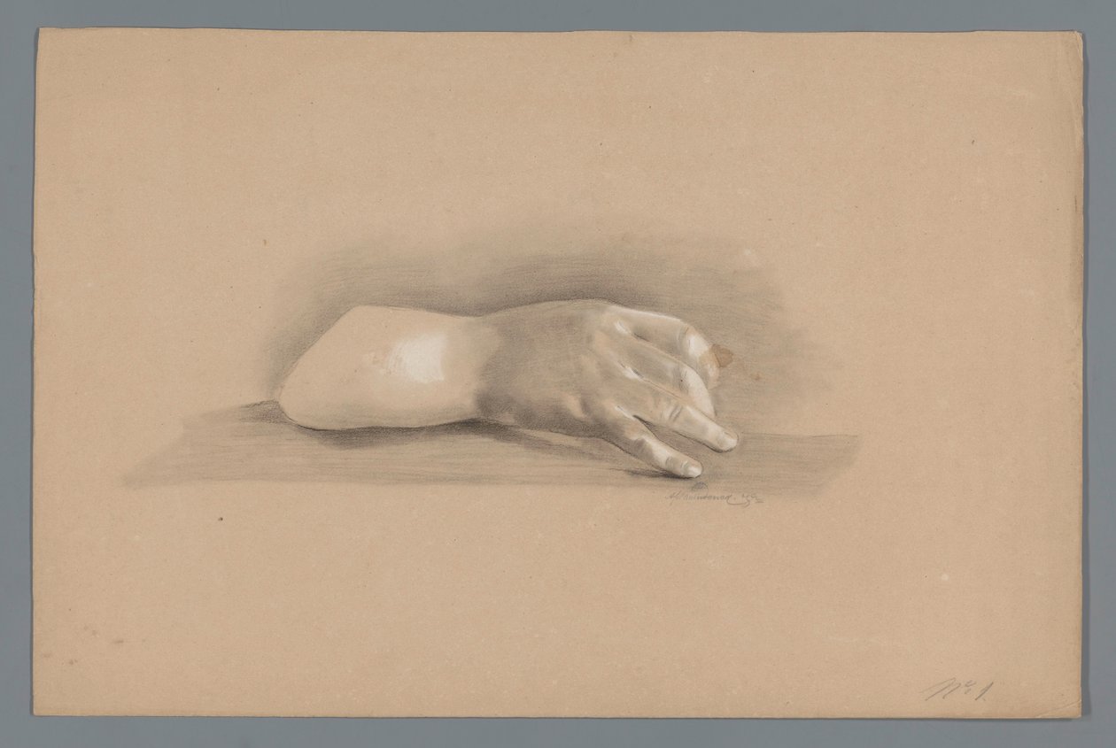 Modelo de yeso de una mano de Alexander Cranendoncq