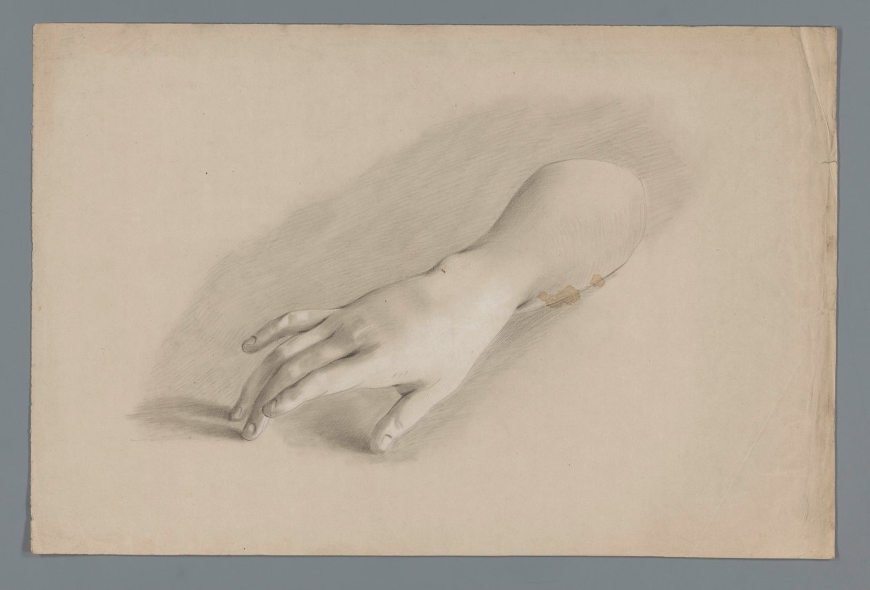 Modelo de yeso de una mano de Alexander Cranendoncq
