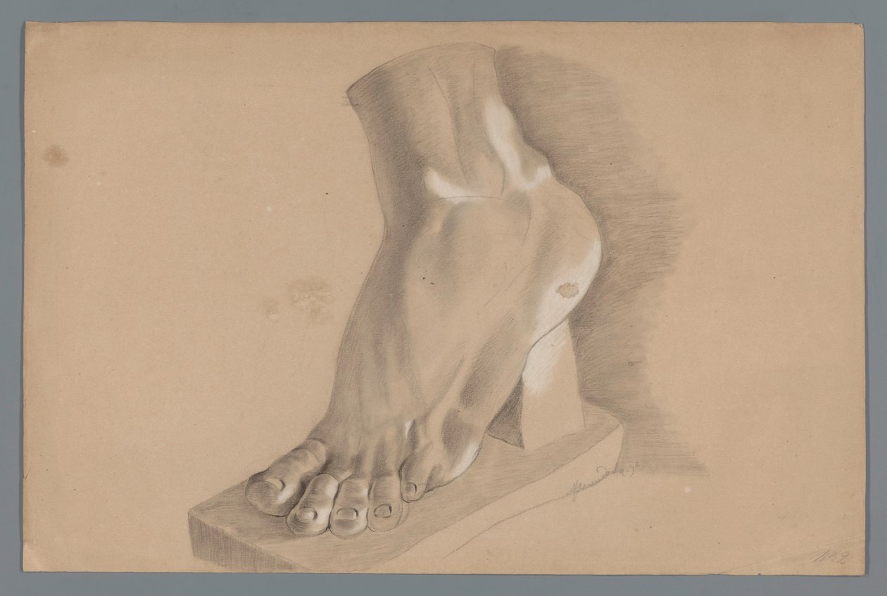 Modelo de yeso de un pie de Alexander Cranendoncq