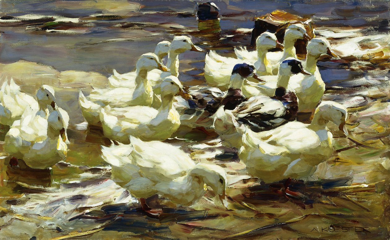 Patos en el estanque de Alexander Koester