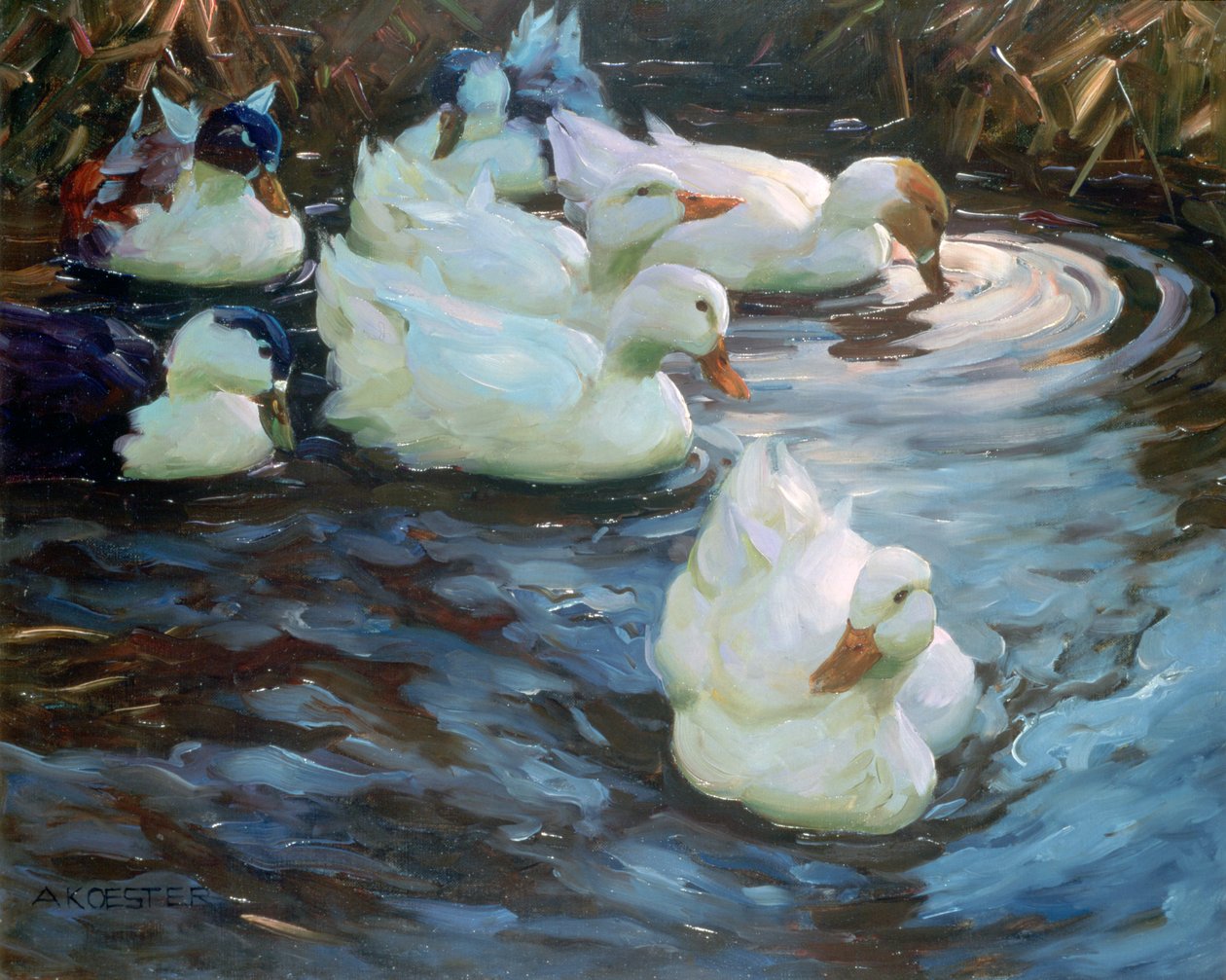 Patos en un estanque de Alexander Koester