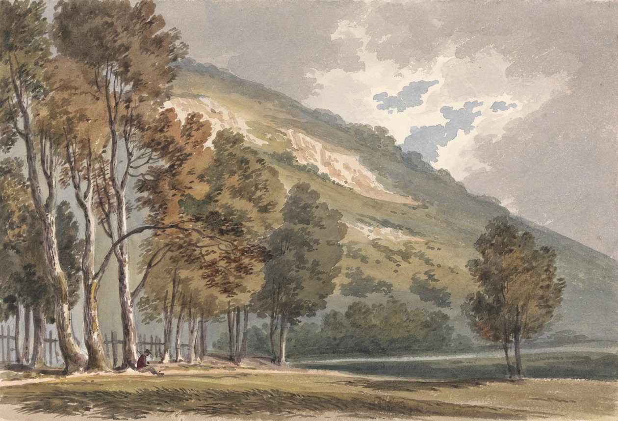 Paisaje en Boxhill, Surrey de Alexander Monro