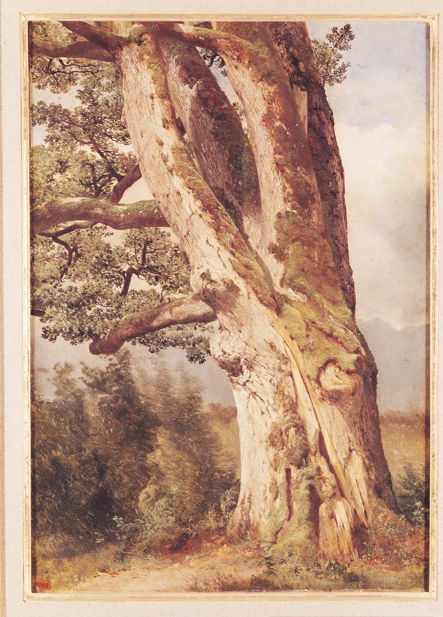 El Roble de Alexandre Calame