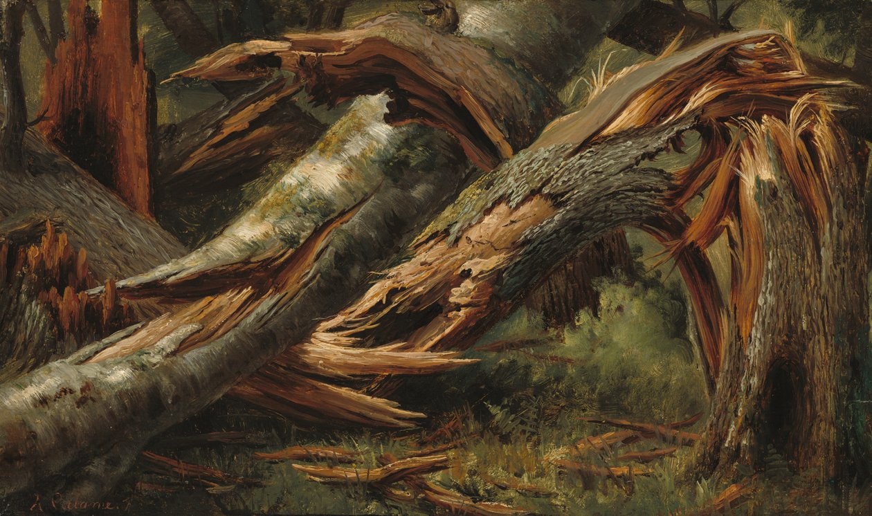 Árbol caído de Alexandre Calame