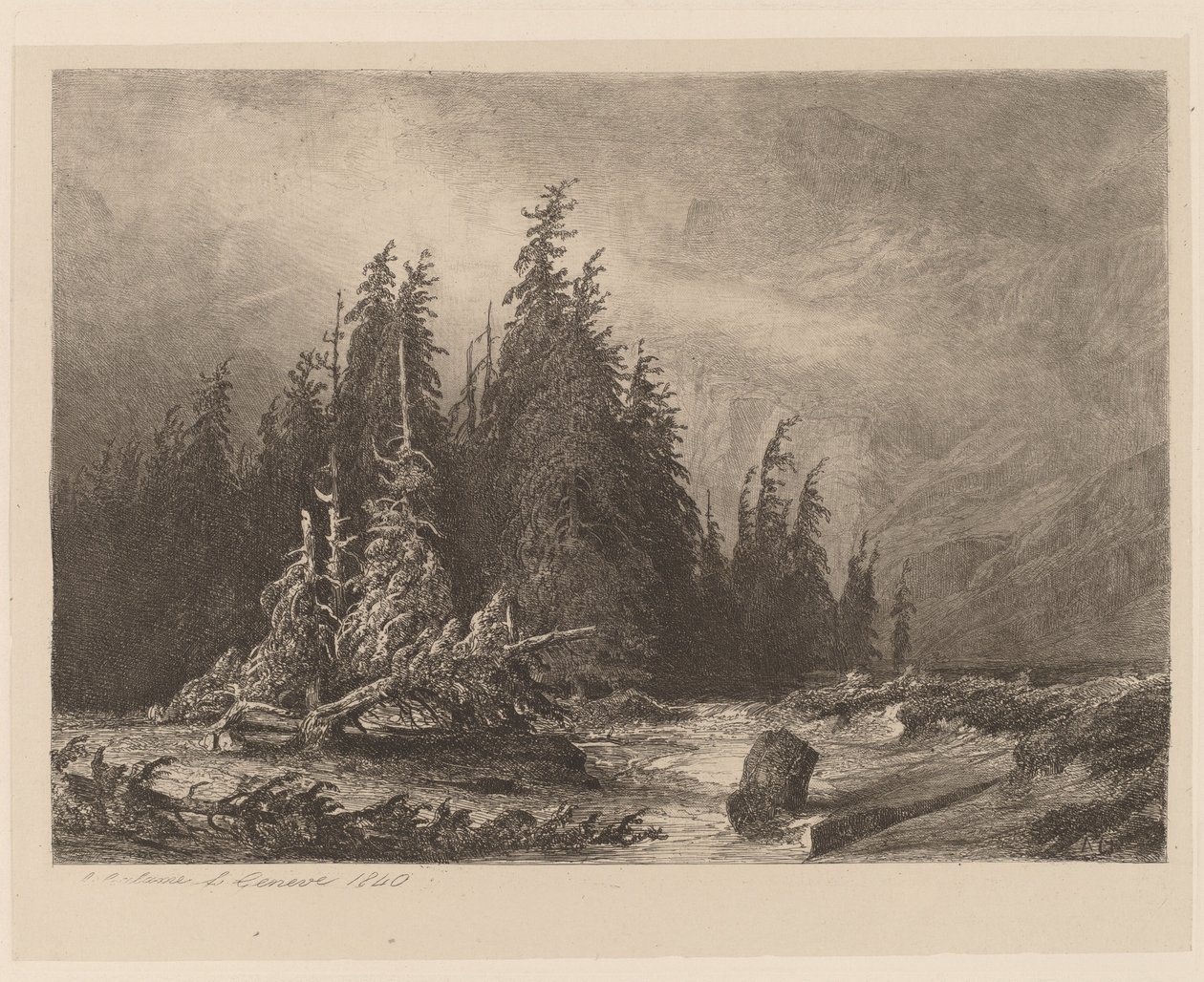 Pinos de Montaña de Alexandre Calame