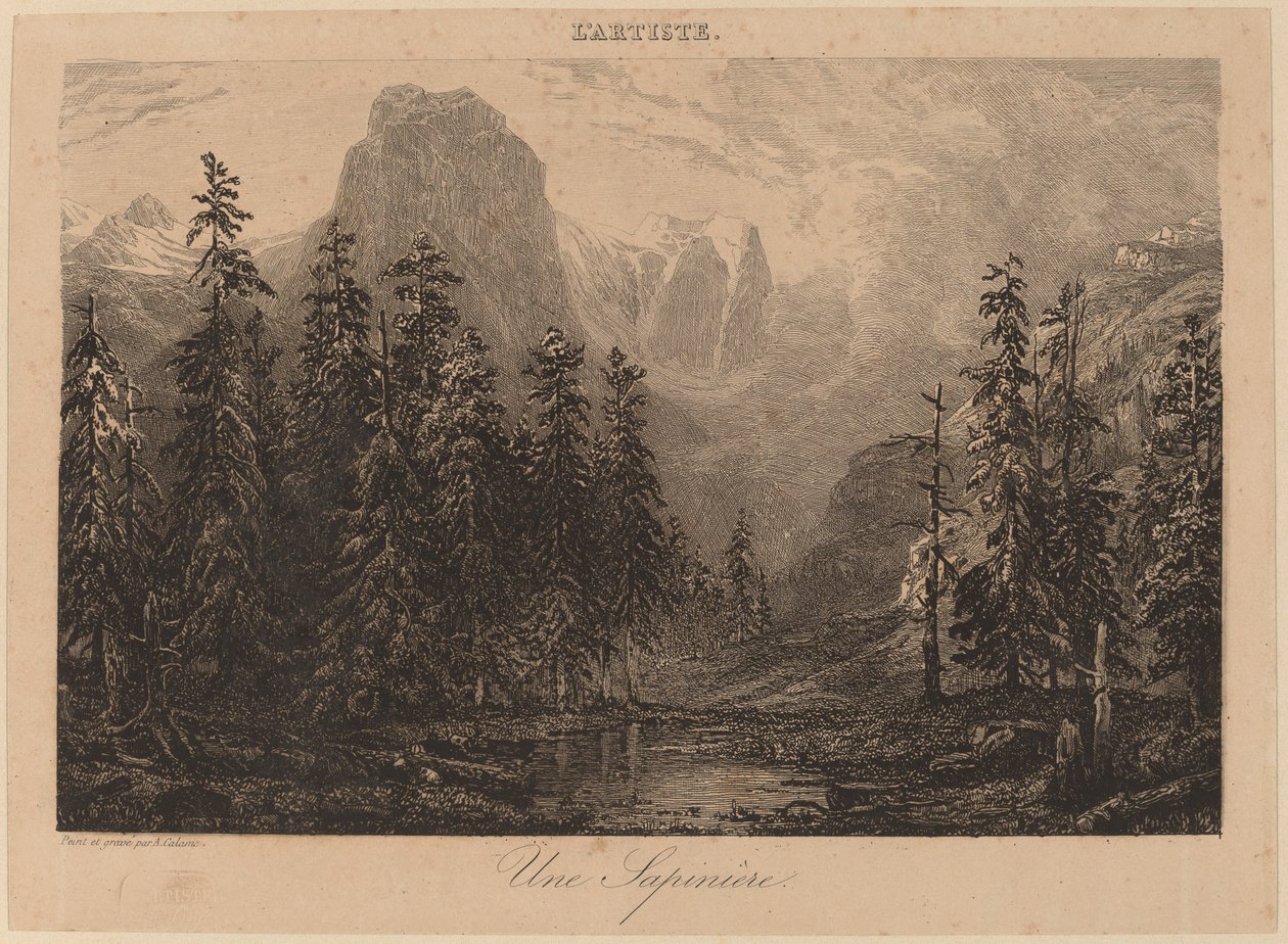 Un abetal de Alexandre Calame