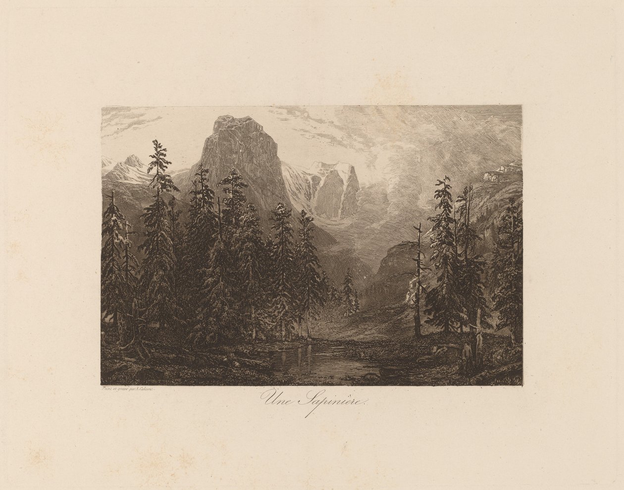 Una pineda de Alexandre Calame