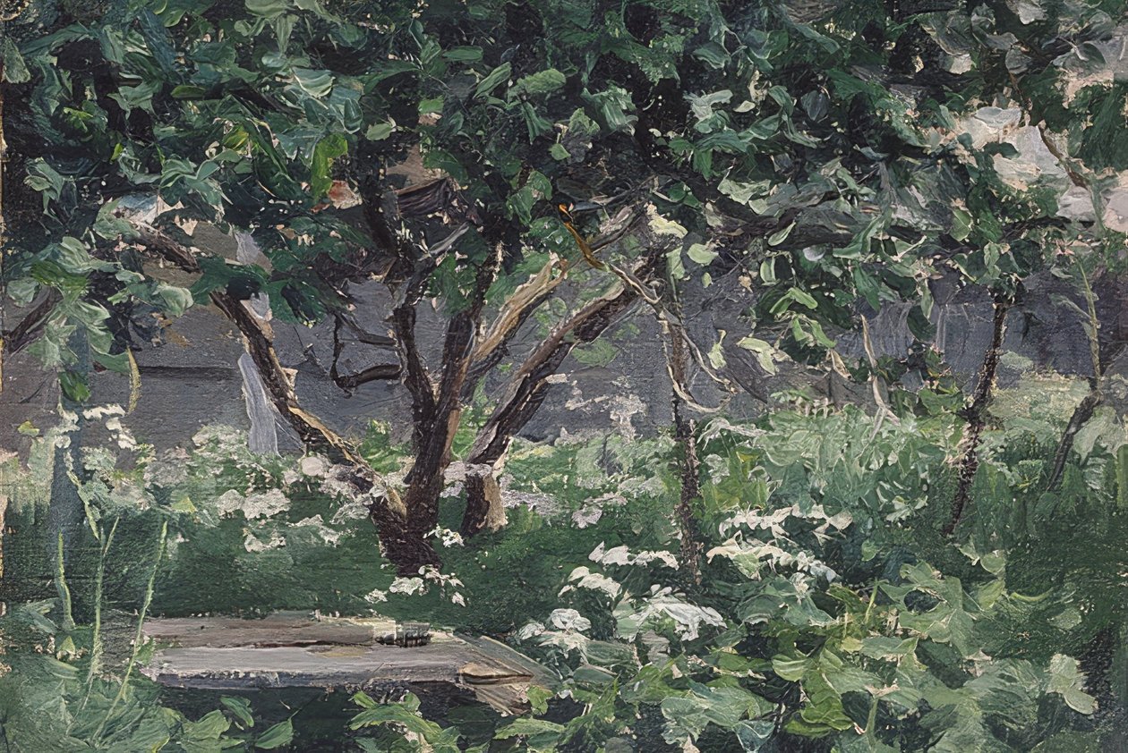 Una esquina del jardín de Alexei Steipanovitch Stepanov