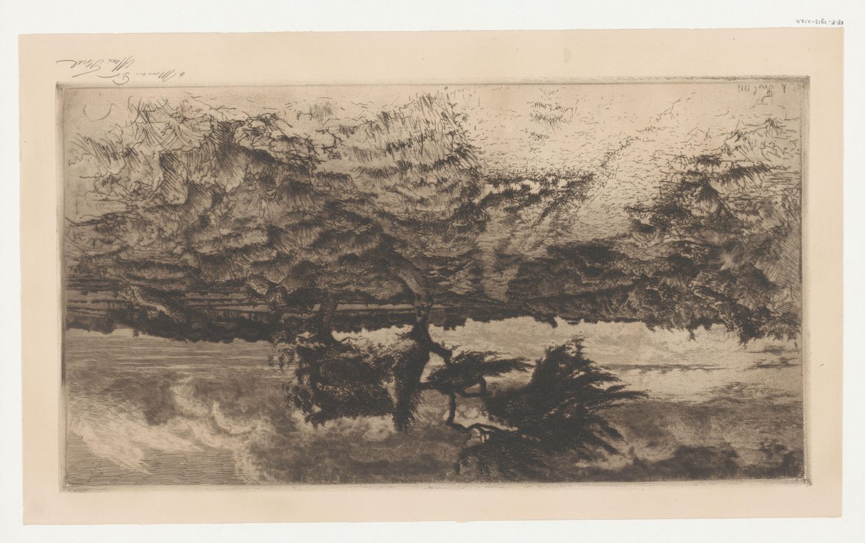 Heathland de Alexis Forel