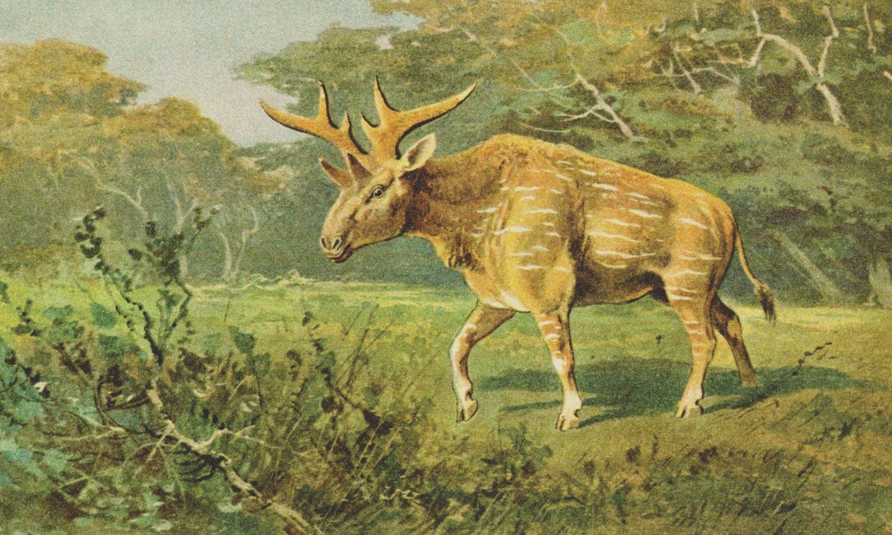 Sivatherium c.1900 de Alfred Brehm