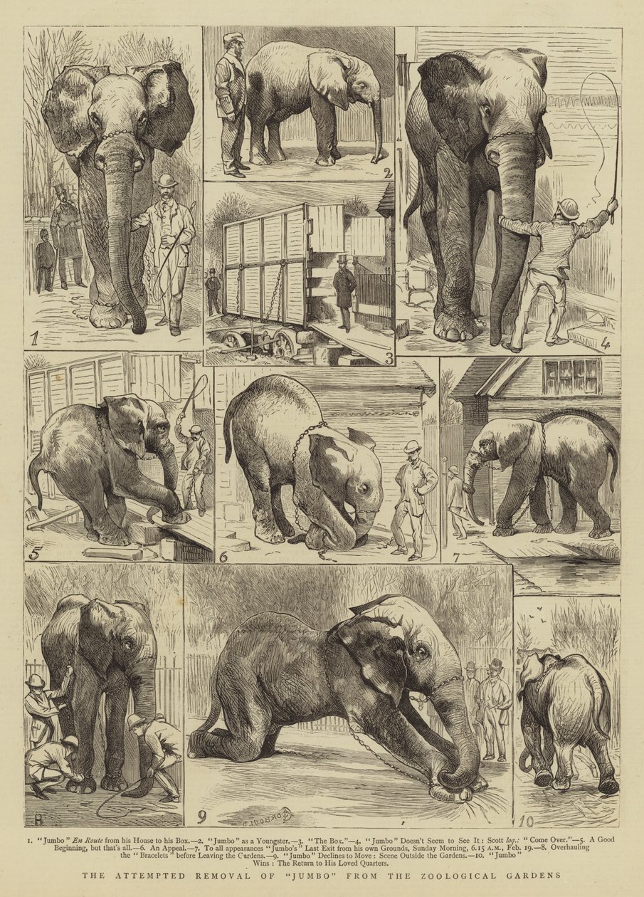 El Intento de Remover a Jumbo del Zoológico de Alfred Chantrey Corbould