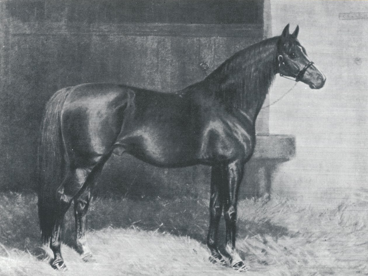 Cyllene, caballo británico de pura sangre de carrera de Alfred Charles Havell
