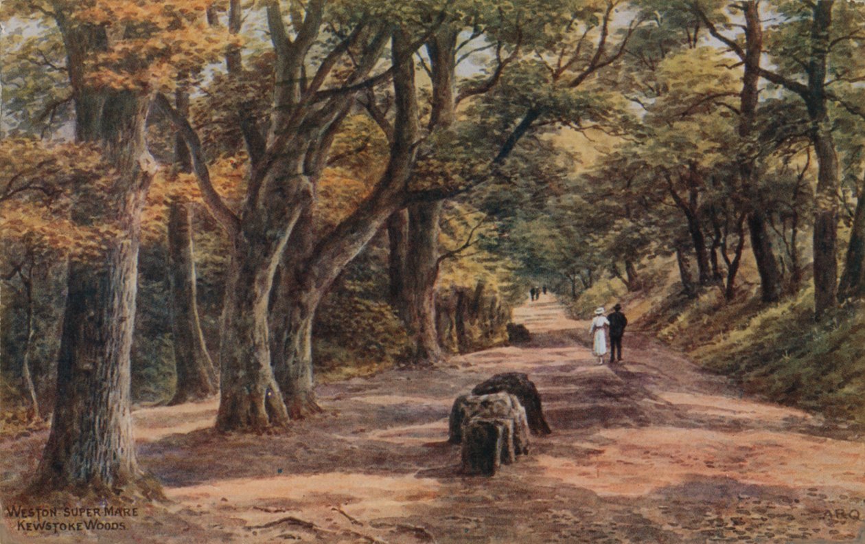 Weston-Super-Mare, Kewstoke Woods de Alfred Robert Quinton