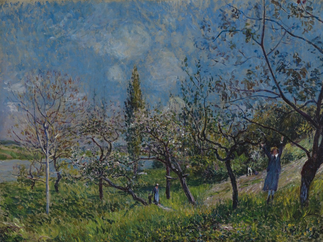 Huerto en primavera de Alfred Sisley