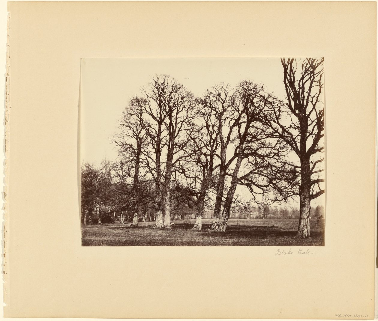 Blake Hall de Alfred Capel Cure