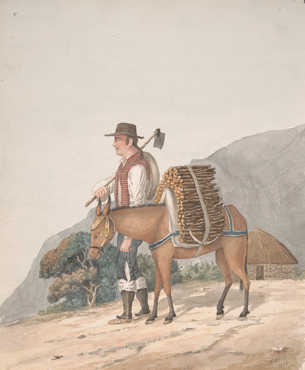 Vendedor de leña, Tenerife de Alfred Diston