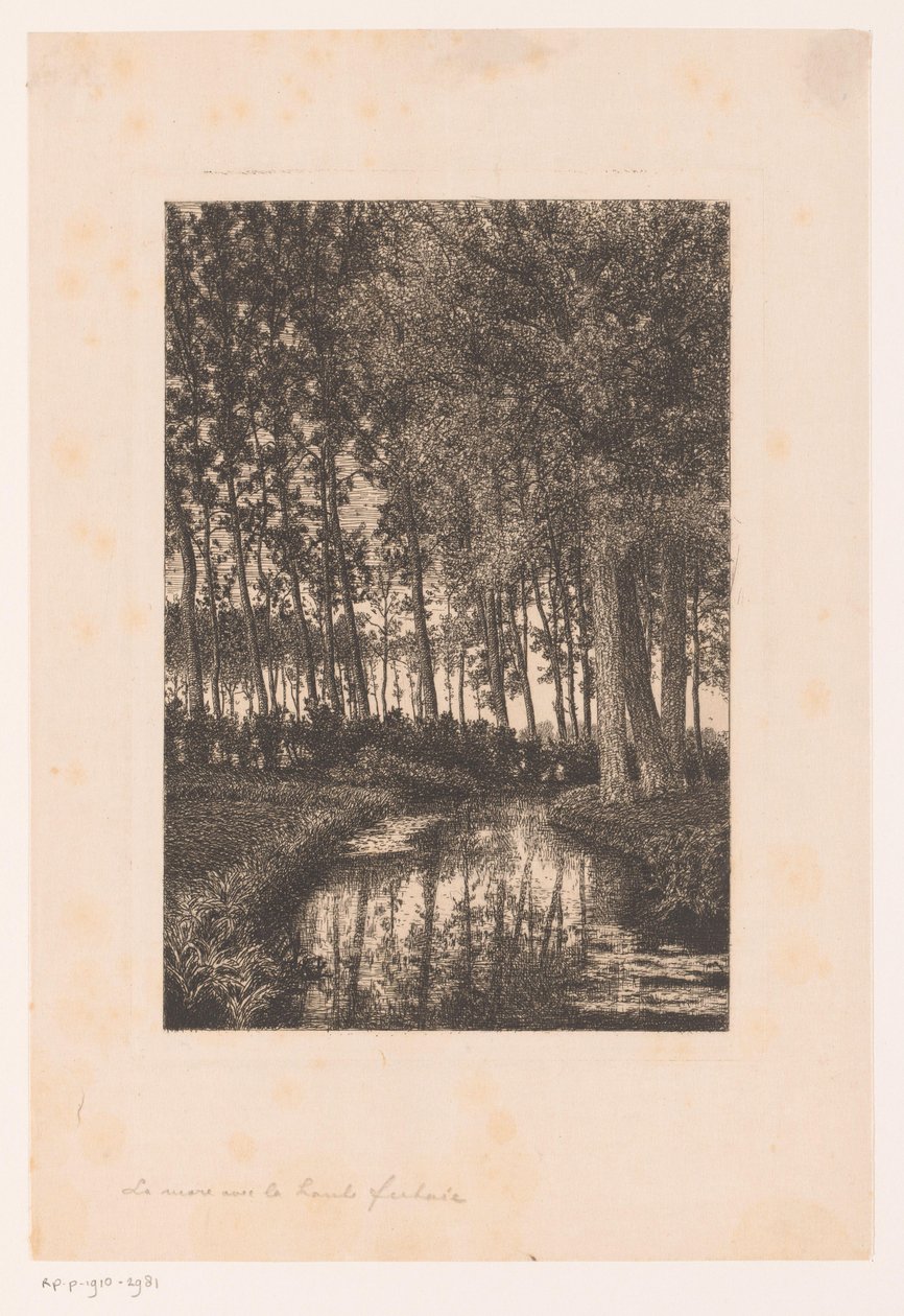 Altos árboles al borde del agua de Alfred Elsen