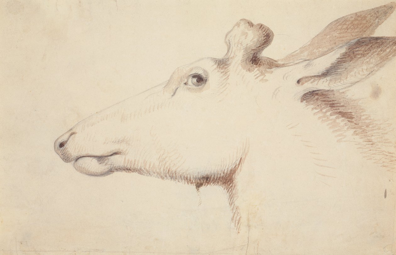 Alce. c.1837 (dibujo) de Alfred Jacob Miller
