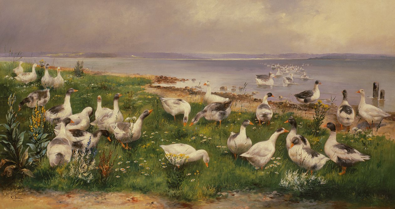 Gansos de Alfred Schonian