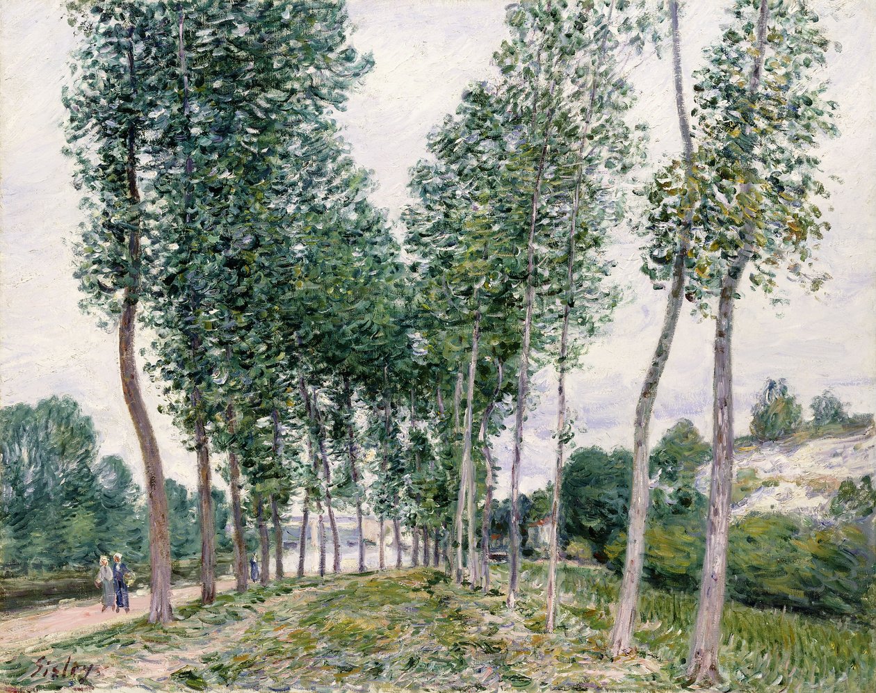 Avenida de álamos a lo largo del Loing, 1892 de Alfred Sisley