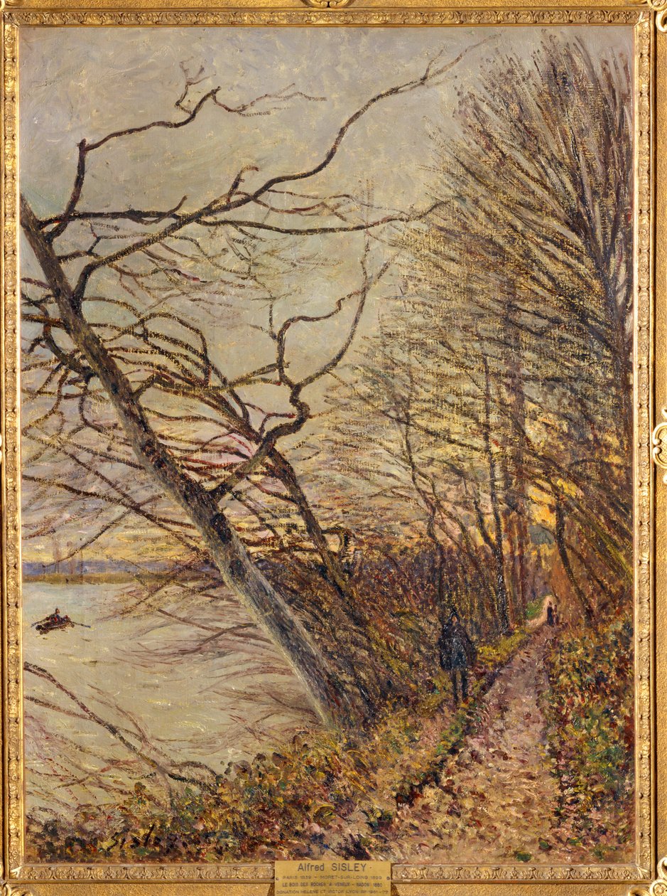 Le Bois des Roches, Veneux-Nadon ... de Alfred Sisley