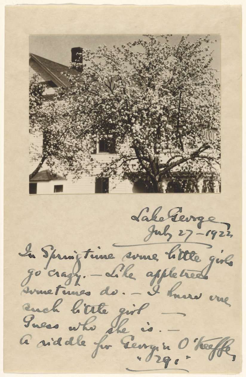 [Flores de manzano] de Alfred Stieglitz